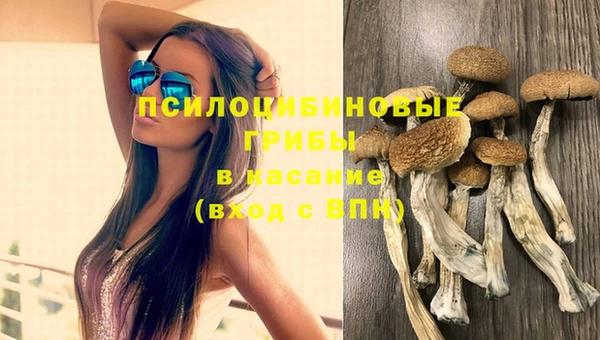 СК Алексеевка