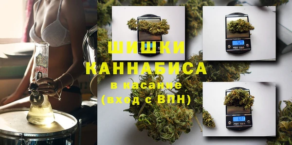 шишки Алексин