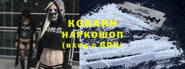 шишки Алексин